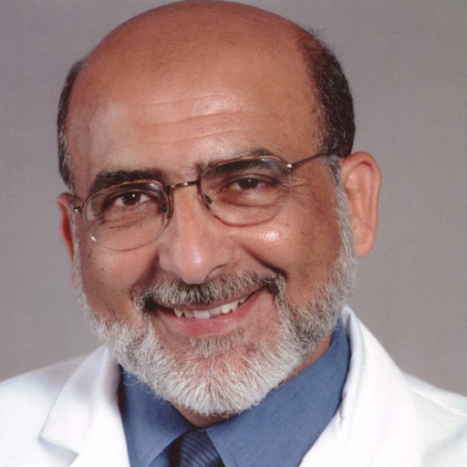 Anwar S. Abd-Elfattah, MS, PhD